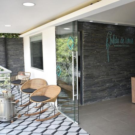 Hostel Boutique Nido De Loros Medellín Exterior foto